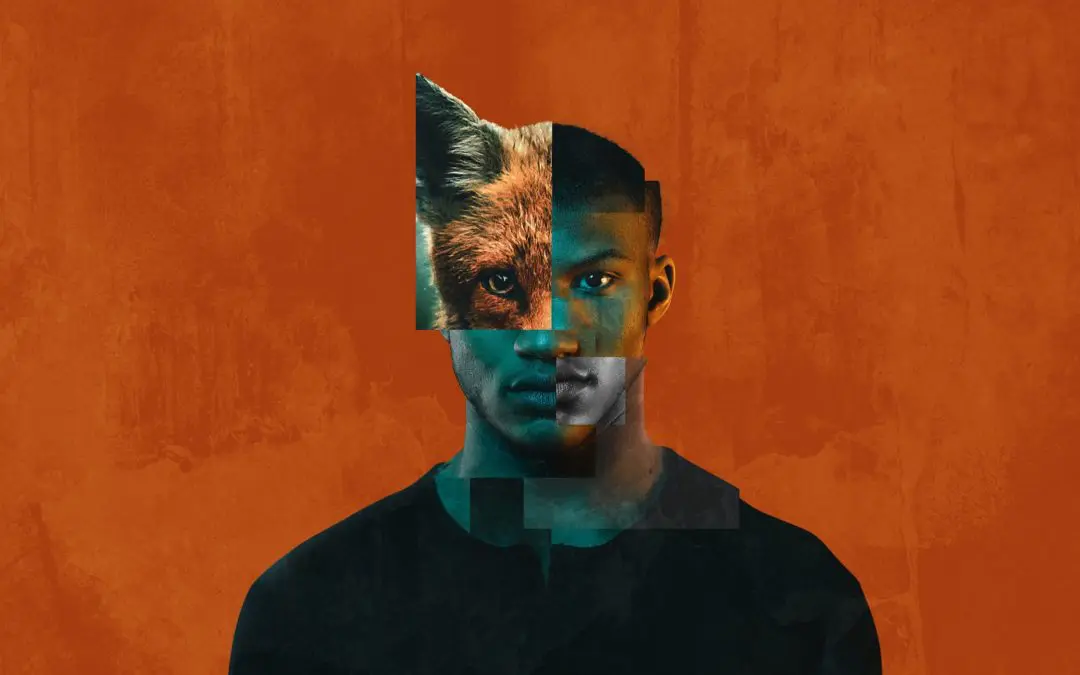 Theatre503: Foxes
