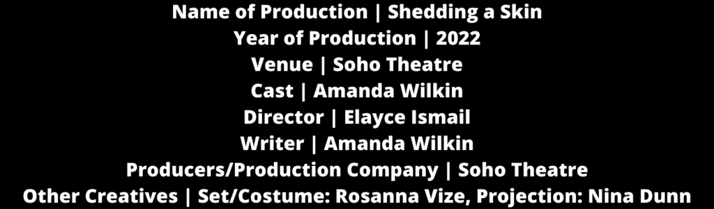 Soho Theatre: Shedding a Skin 2 Stats 4